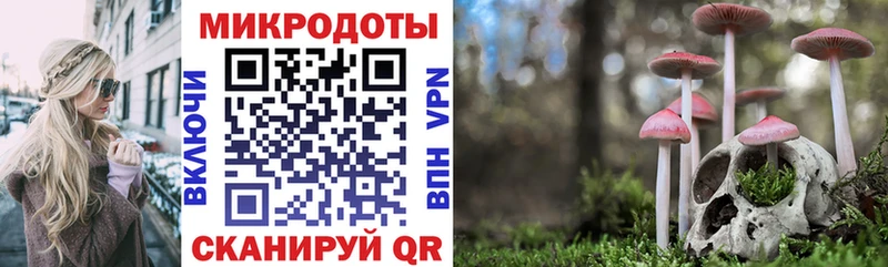 omg зеркало  Карачаевск  Псилоцибиновые грибы прущие грибы 